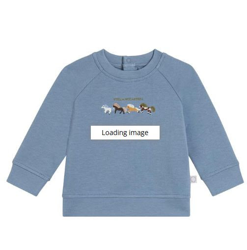 Baby Boy Blue Sweatshirt with Horse Embro