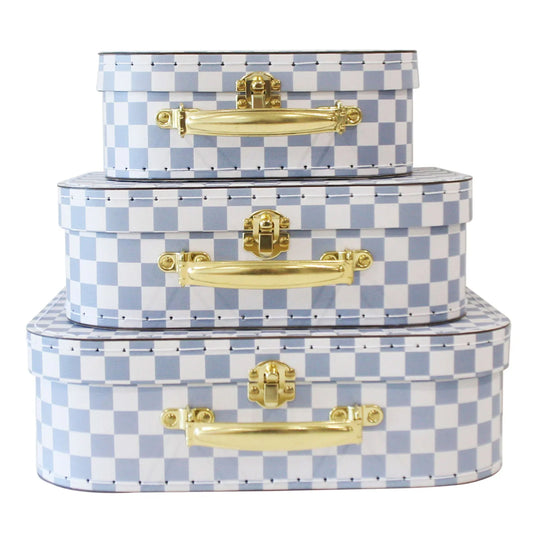 Blue Checked Carry Case