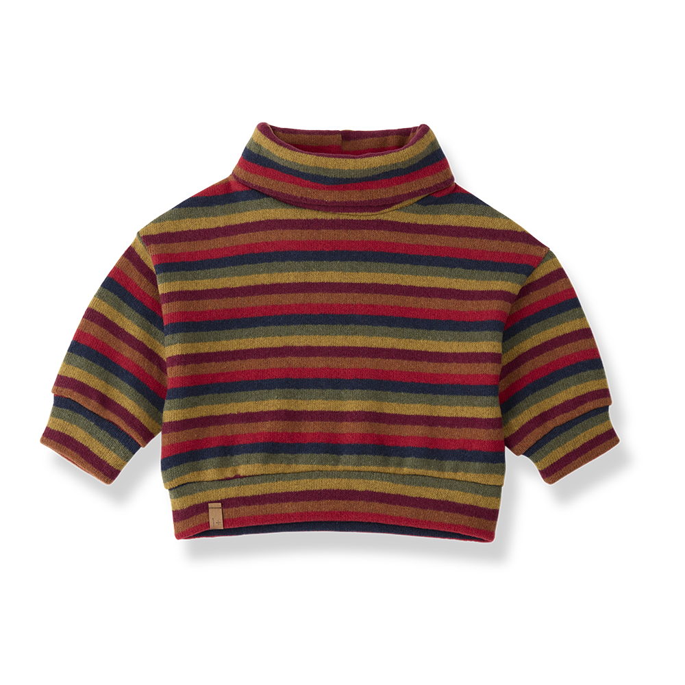Kingston Multicolor Turtleneck Sweater