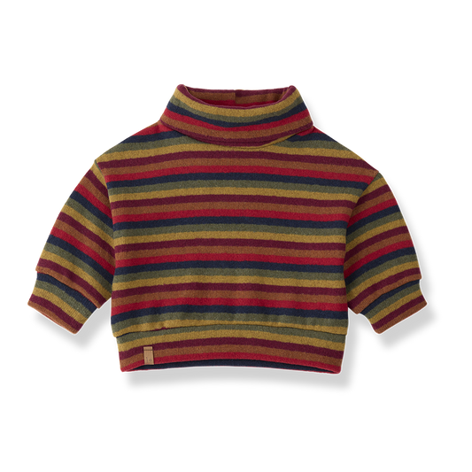 Kingston Multicolor Turtleneck Sweater