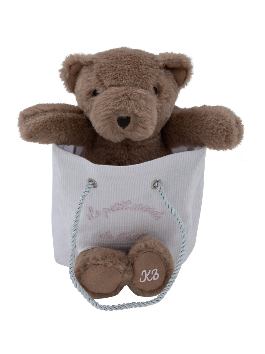 Petit Ours Pink Teddy in Bag